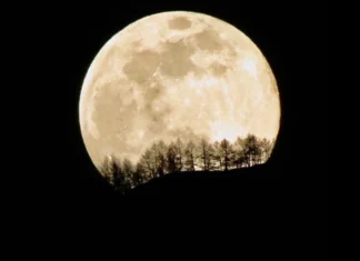 Oroscopo di Paolo Fox per oggi, 23 gennaio: Ariete stanco, Bilancia nel benessere