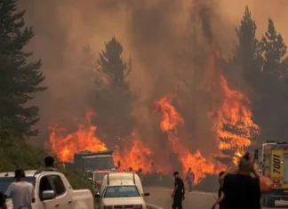 Emergenza in Argentina: taglio dei fondi mentre brucia la Patagonia Argentina Emergenza Patagonia - Photo Credits Sky TG24
