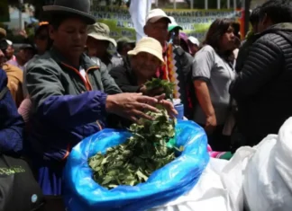 Bolivia, lotta al narcotraffico: distrutte infrastrutture destinate alla produzione di cocaina Bolivia Cocaina - Photo Credits HuffPost