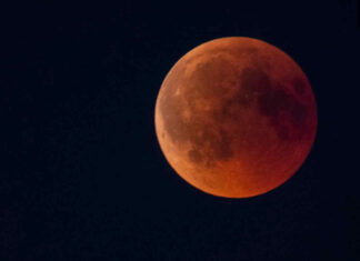 Oroscopo di Paolo Fox per oggi, 19 febbraio: standard alti per il Leone, più tranquillità per il Sagittario