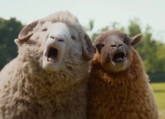 ‘Pecore sotto copertura’: il nuovo trailer ufficiale con Huge Jackman