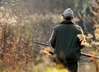 La caccia in Italia: un «male necessario» o uno strumento controproducente? Caccia Italia - Photo Credits Hunting Spot