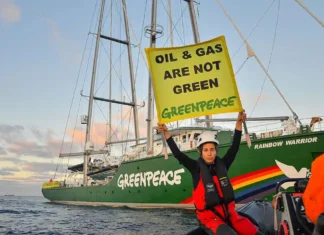 Greenpeace rischia la bancarotta. Il direttore dell’ong afferma: «Non saremo messi a tacere» Greenpeace Bancarotta - Photo Credits Greenpeace