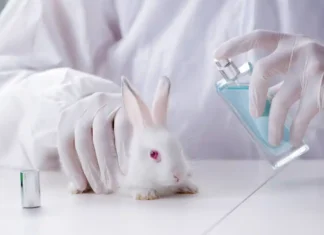 Test sugli animali nel 2026: la battaglia non è ancora finita Test Animali - Photo Credits greenMe