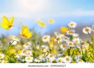 È arrivata la primavera: cinque canzoni che la celebrano Photo Credits © shutterstock.com