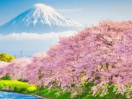 Guiness Travel completa l’offerta Estremo Oriente per il biennio 2026-2027