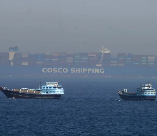 Due navi attaccate e prese in custodia dall’Iran, la MSC Francesca e la Epaminondas