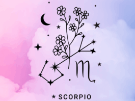 Oroscopo di Paolo Fox per oggi, 11 aprile: Scorpione arrabbiato, Bilancia in cambiamento