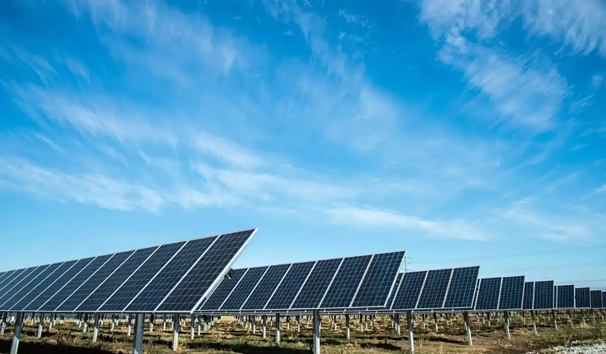 progetto del parco solare pi249 grande d8217europa qual 232 la causa del rallentamento da Metropolitanmagazine.it progetto del parco solare pi249 grande d8217europa qual 232 la causa del rallentamento