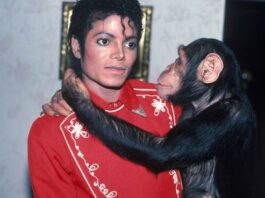 Lo Chimpanzee di Michael Jackson Bubbles è la star del film biopic. Dove si trova ora e perché è stata realizzata in CGI?