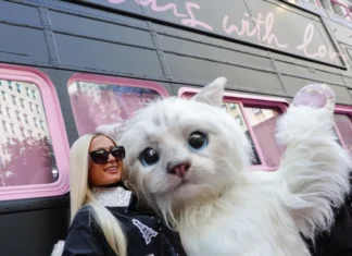 Paris Hilton x Karl Lagerfeld: Herald Square diventa Parigi (con Choupette che ruba la scena, ovviamente)