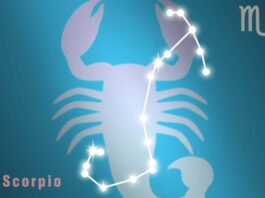 Oroscopo di Paolo Fox per oggi, 17 aprile: ottima giornata per il Leone, Scorpione osservatore