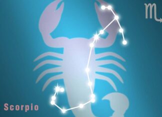 Oroscopo di Paolo Fox per oggi, 17 aprile: ottima giornata per il Leone, Scorpione osservatore