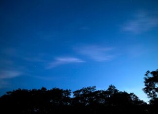 Oroscopo di Paolo Fox per oggi, 9 maggio: Pesci segue il flow, Ariete energico