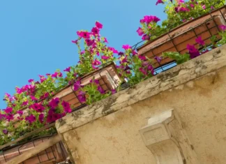 Dal balcone alla smart city: come fioriere e vasi di design stanno ridisegnando gli spazi urbani