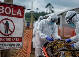 Epidemia di Ebola, controlli estesi anche agli aeroporti. I decessi salgono a 100 Ebola Controlli - Photo Credits Il Veronese Magazine