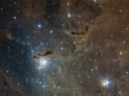 Oroscopo di Paolo Fox per oggi, 12 maggio: Sagittario in movimento, Leone sprint
