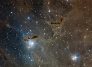 Oroscopo di Paolo Fox per oggi, 12 maggio: Sagittario in movimento, Leone sprint