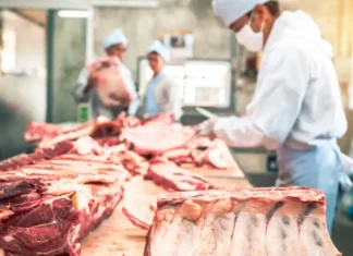 UE, vietate le importazione di carne brasiliana. Ma l’accordo con il Mercosur? UE Carne Brasiliana - Photo Credits Il Fatto Alimentare