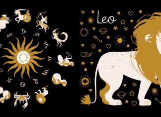 Oroscopo di Paolo Fox per oggi, 19 giugno: Leone magnetico, Gemelli social battery carica