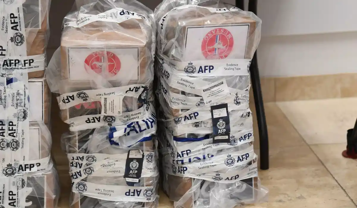 australia la polizia sequestra 27 tonnellate di cocaina la lotta alla droga continua da Metropolitanmagazine.it australia la polizia sequestra 27 tonnellate di cocaina la lotta alla droga continua