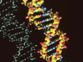 DNA sintetico: necessario per lo sviluppo scientifico, ma potenzialmente pericoloso. Cosa c’entra l’IA? DNA Sintetico - Photo Credits Scienze Notizie