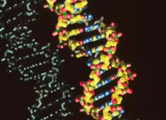 DNA sintetico: necessario per lo sviluppo scientifico, ma potenzialmente pericoloso. Cosa c’entra l’IA? DNA Sintetico - Photo Credits Scienze Notizie