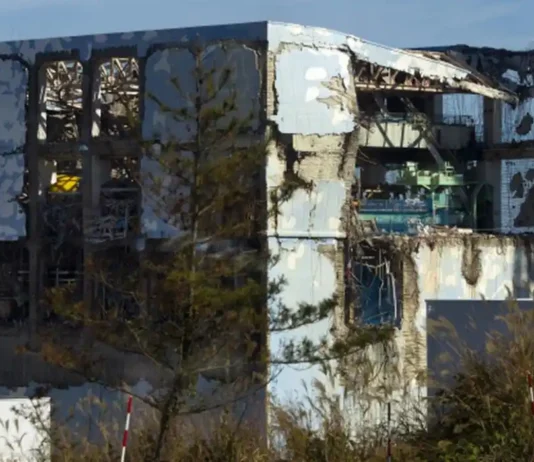 Fukushima, a 15 anni dal disastro nucleare vengono allentate le restrizioni d’accesso Fukushima Restrizioni - Photo Credits The Hindu