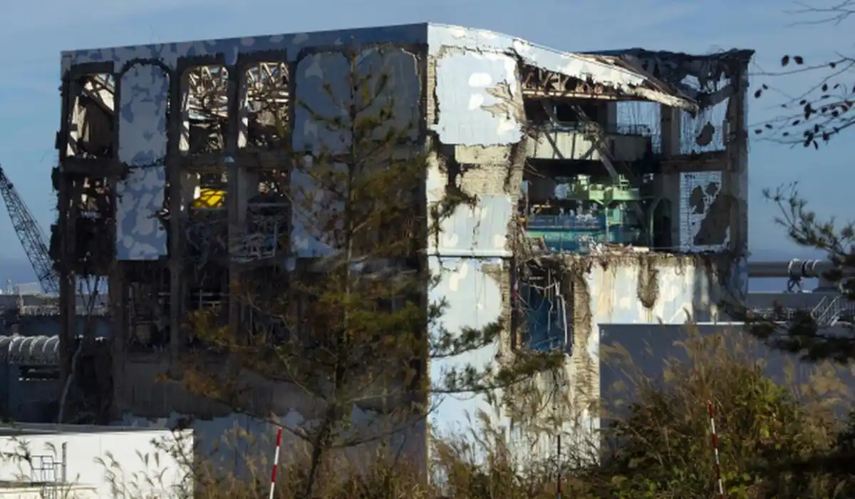 fukushima a 15 anni dal disastro nucleare vengono allentate le restrizioni d8217accesso da Metropolitanmagazine.it fukushima a 15 anni dal disastro nucleare vengono allentate le restrizioni d8217accesso
