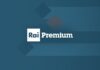 Estate di fiction su Rai Premium: le serie da non perdere in TV