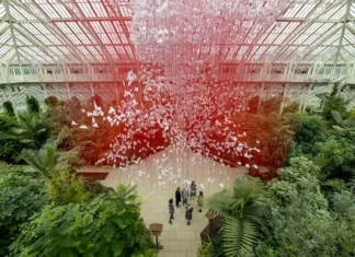 La botanica incontra la cultura pop: la rivoluzione verde nel lifestyle urbano del 2026