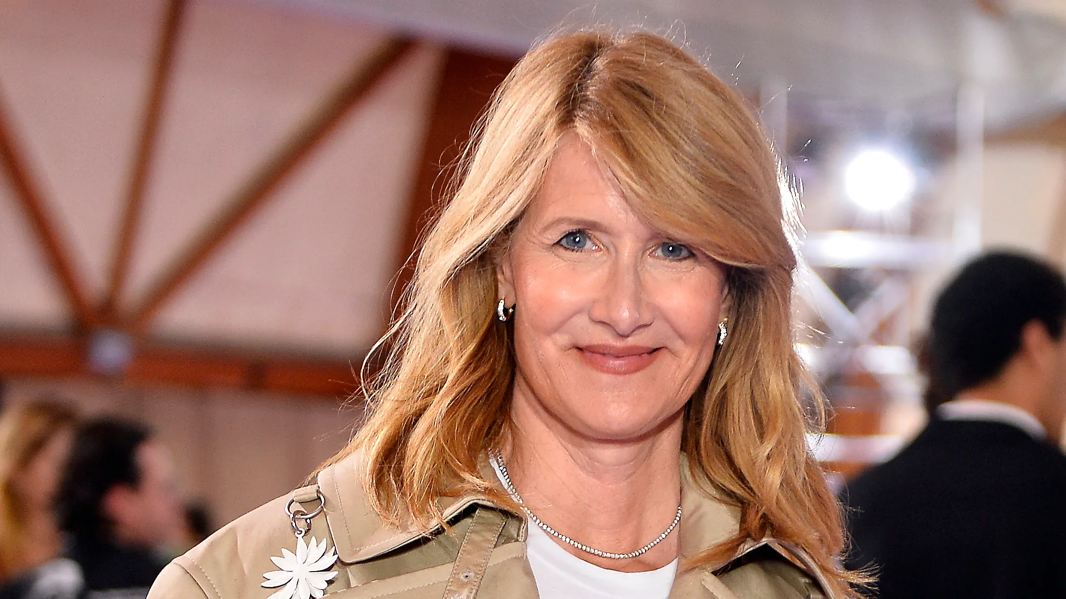 ecco cosa sappiamo sul nuovo legal thriller netflix con laura dern da Metropolitanmagazine.it ecco cosa sappiamo sul nuovo legal thriller netflix con laura dern
