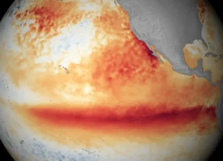 El Niño è ufficialmente arrivato, e non porta con sé buone notizie per il pianeta
