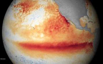 El Niño è ufficialmente arrivato, e non porta con sé buone notizie per il pianeta