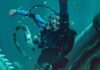 Minaccia nelle profondità dell’oceano. ‘The Whalefall: nella balena’: svelato il trailer del nuovo film da incubo