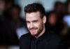Bear Grey, il figlio di Liam Payne è stato nominato l’unico erede di un patrimonio da 30 milioni di dollari Figlio di Liam Payne è l'unici beneficiario dell'eredità
