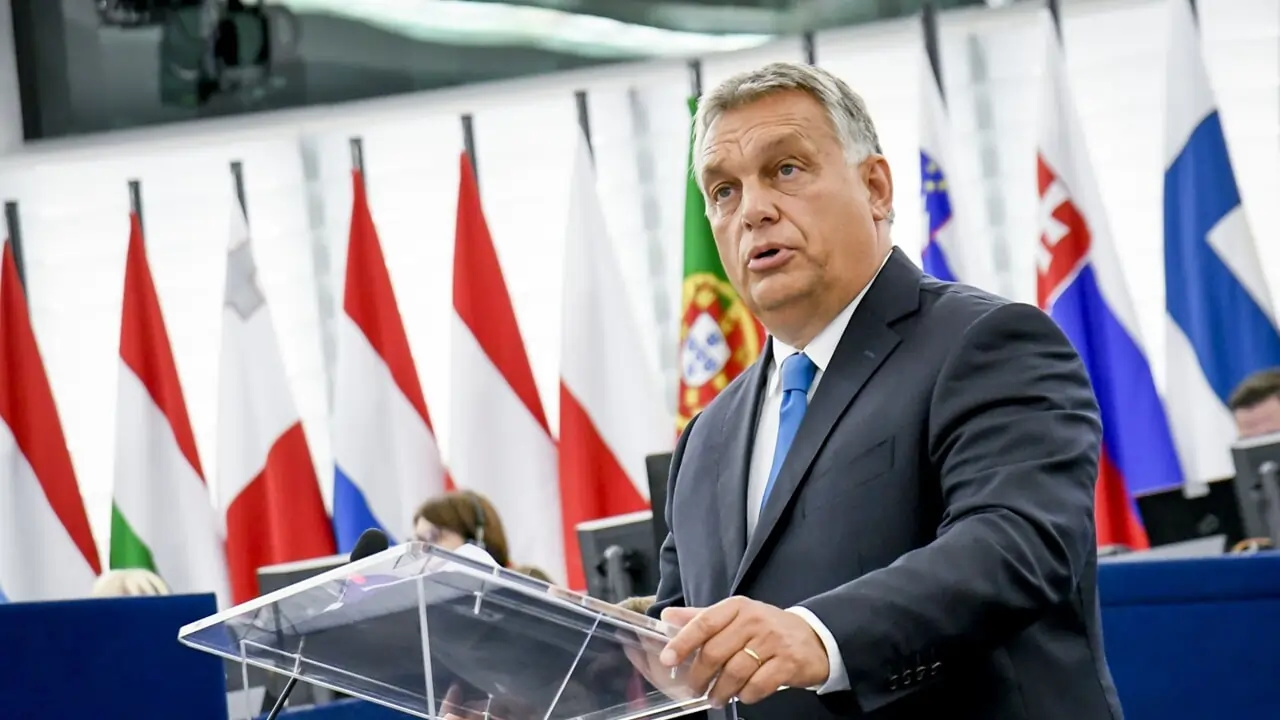 dopo la sconfitta elettorale viktor orb225n 232 stato comunque rieletto leader di fidesz da Metropolitanmagazine.it dopo la sconfitta elettorale viktor orb225n 232 stato comunque rieletto leader di fidesz