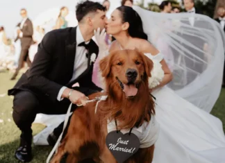 Chi è Fabio Stefanini, il marito di Valentina Vignali chi è il marito di Valentina Vignali