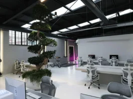 La brand equity come asset di bilancio: il modello che Bliss Agency applica nel mercato italiano