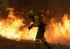 Incendi di vasta portata e fuori controllo in Francia e Spagna