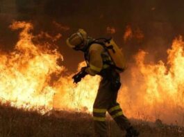 Incendi di vasta portata e fuori controllo in Francia e Spagna