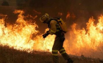 Incendi di vasta portata e fuori controllo in Francia e Spagna