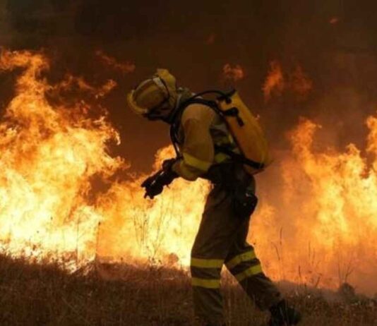 Incendi di vasta portata e fuori controllo in Francia e Spagna