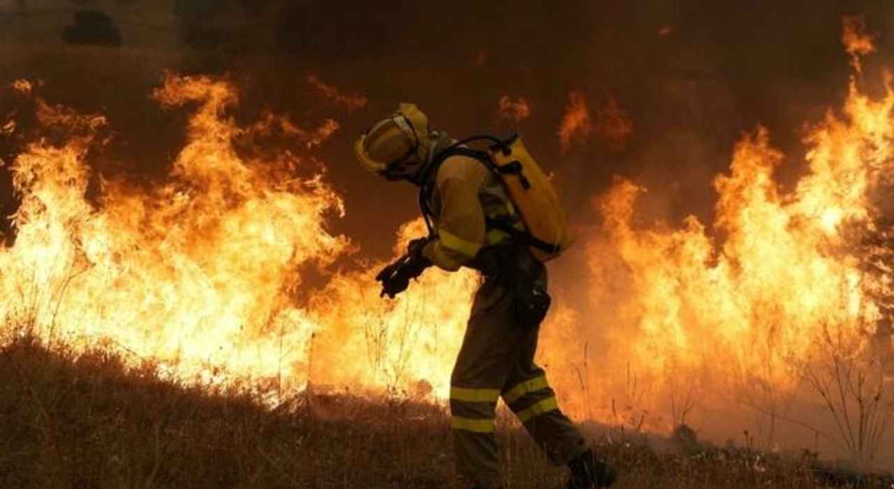 incendi di vasta portata e fuori controllo in francia e spagna da Metropolitanmagazine.it incendi di vasta portata e fuori controllo in francia e spagna
