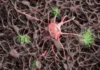 Alzheimer e sonno: dormire più a lungo può aiutare? Un recente studio si pone la stessa domanda Alzheimer Sonno- Photo Credits Istituto Mario Negri