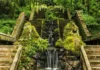 La magia della Mata do Buçaco: nasce la prima foresta terapeutica in Portogallo Foresta Terapeutica - Photo Credits fmb.pt