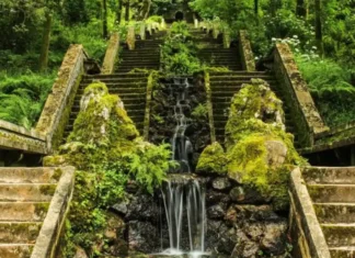 La magia della Mata do Buçaco: nasce la prima foresta terapeutica in Portogallo Foresta Terapeutica - Photo Credits fmb.pt