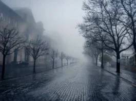 Perché il mese di gennaio ci appare infinito? La risposta ce la dà la scienza Gennaio Infinito - Photo Credits Metropolitano.it