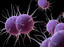 Gonorrea resistente agli antibiotici: l’ECDC lancia l’allarme per l’aumento della trasmissione locale in Europa Gonorrea - Photo Credits My-personaltrainer.it