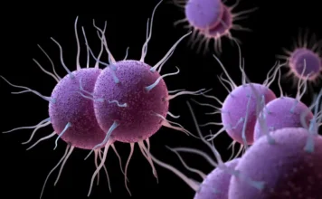 Gonorrea resistente agli antibiotici: l’ECDC lancia l’allarme per l’aumento della trasmissione locale in Europa Gonorrea - Photo Credits My-personaltrainer.it